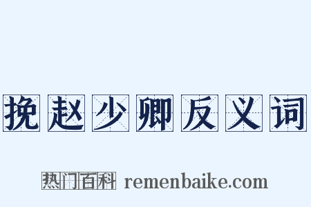 挽赵少卿反义词是什么意思的图片